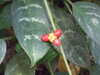 20130330115451-DSCF9719.JPG