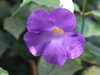20130330120409-DSCF9727.JPG