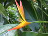 20130330121043-DSCF9736.JPG