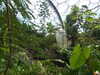 20130330121128-DSCF9738.JPG