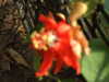 20130330121842-DSCF9750.JPG