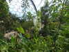 20130330121904-DSCF9752.JPG