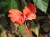 20130330123320-DSCF9758.JPG