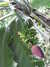 20130330123500-DSCF9761.JPG