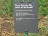20130330123813-DSCF9762.JPG