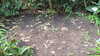 20130330133816-20130330-133816-279.jpg