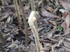 20130330134150-DSCF9764.JPG