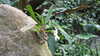 20130330134317-20130330-134317-289.jpg
