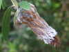 20130330134410-DSCF9767.JPG
