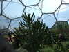 20130330134432-DSCF9768.JPG