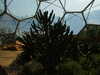 20130330134445-DSCF9769.JPG