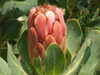 20130330134502-DSCF9770.JPG