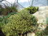 20130330134620-DSCF9773.JPG