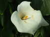 20130330134835-DSCF9774.JPG