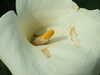 20130330134841-DSCF9775.JPG