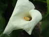 20130330134852-DSCF9776.JPG