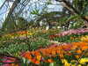 20130330135411-DSCF9778.JPG