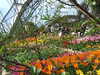 20130330135414-DSCF9779.JPG