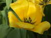 20130330135433-DSCF9781.JPG