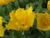 20130330135503-DSCF9783.JPG