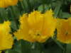20130330135507-DSCF9784.JPG