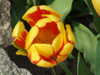 20130330135539-DSCF9787.JPG