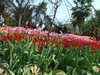 20130330135753-DSCF9793.JPG