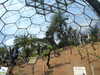 20130330140237-DSCF9796.JPG
