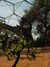 20130330140300-DSCF9798.JPG