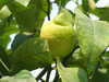 20130330142113-DSCF9806.JPG