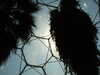 20130330142154-DSCF9807.JPG