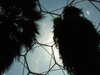 20130330142159-DSCF9808.JPG