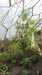 20130330143130-20130330-143130-294.jpg