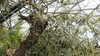 20130330143300-20130330-143300-298.jpg