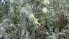 20130330144044-20130330-144044-314.jpg