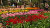 20130330145528-20130330-145528-342.jpg