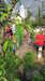 20130330152449-20130330-152449-355.jpg