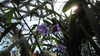 20130330152646-20130330-152646-356.jpg