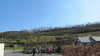 20130330153659-20130330-153659-367.jpg
