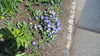20130330154120-20130330-154120-371.jpg