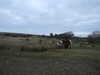 20130331081428-DSCF9814.JPG