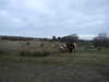 20130331081432-DSCF9815.JPG