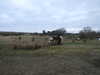 20130331081447-DSCF9817.JPG