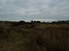 20130331081617-DSCF9818.JPG