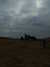 20130331082521-DSCF9831.JPG