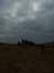 20130331082524-DSCF9832.JPG