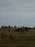 20130331082615-DSCF9836.JPG