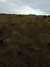 20130331082828-DSCF9837.JPG
