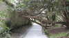 20130331103950-20130331-103950-409.jpg
