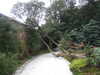 20130331104023-DSCF9868.JPG